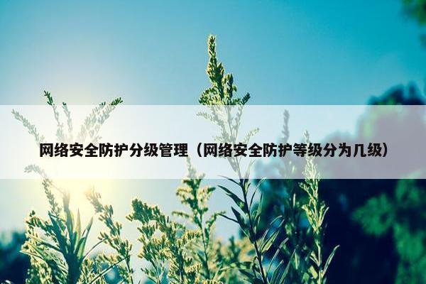 网络安全防护分级管理（网络安全防护等级分为几级）