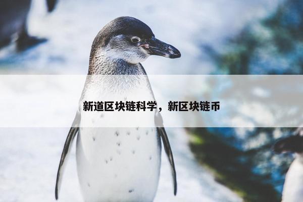 新道区块链科学，新区块链币