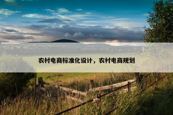 农村电商标准化设计，农村电商规划
