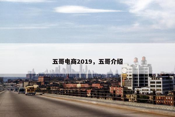 五哥电商2019，五哥介绍