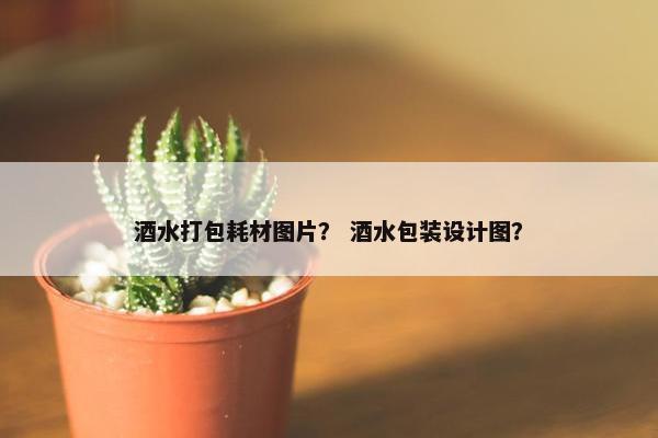 酒水打包耗材图片？ 酒水包装设计图？