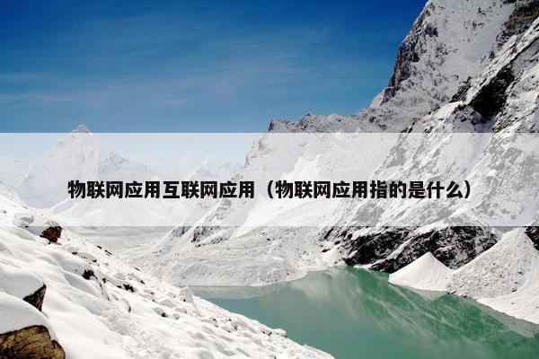 物联网应用互联网应用（物联网应用指的是什么）