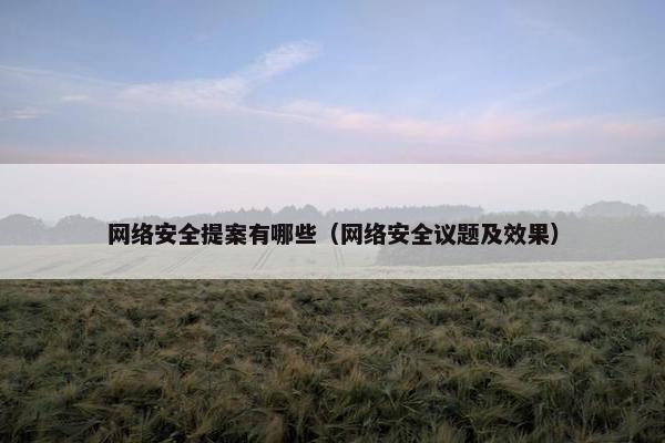 网络安全提案有哪些（网络安全议题及效果）