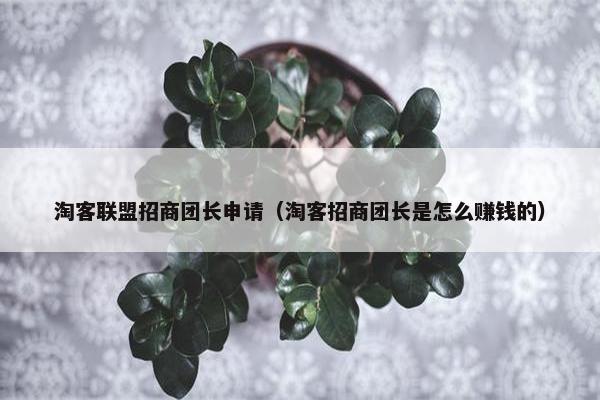 淘客联盟招商团长申请（淘客招商团长是怎么赚钱的）