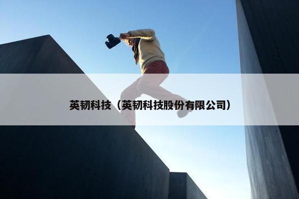 英韧科技（英韧科技股份有限公司）