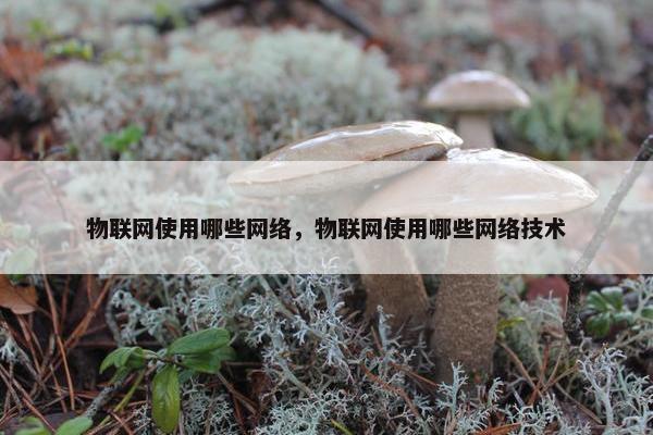 物联网使用哪些网络，物联网使用哪些网络技术