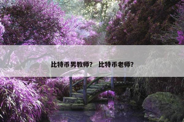 比特币男教师？ 比特币老师？