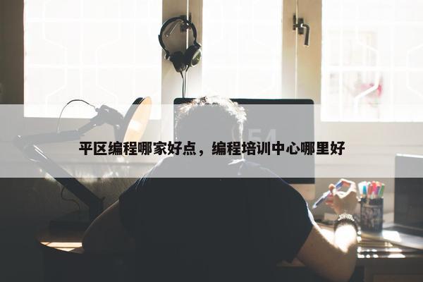 平区编程哪家好点，编程培训中心哪里好