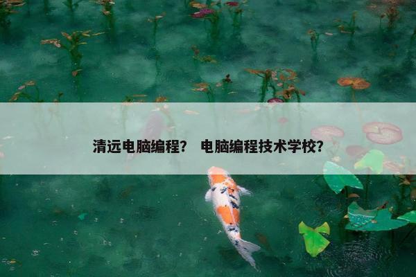 清远电脑编程？ 电脑编程技术学校？