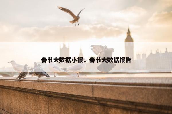 春节大数据小报，春节大数据报告