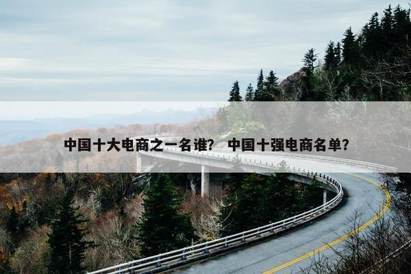 中国十大电商之一名谁？ 中国十强电商名单？