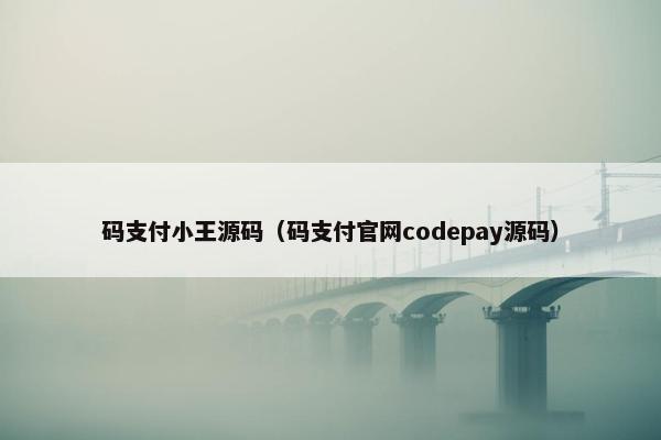 码支付小王源码（码支付官网codepay源码）