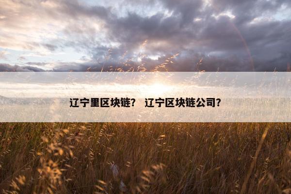 辽宁里区块链？ 辽宁区块链公司？