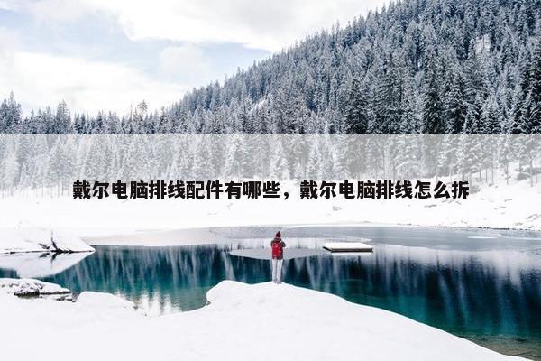 戴尔电脑排线配件有哪些，戴尔电脑排线怎么拆