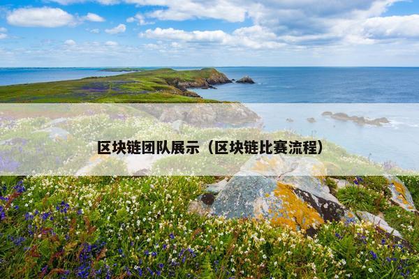 区块链团队展示（区块链比赛流程）