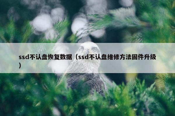 ssd不认盘恢复数据（ssd不认盘维修方法固件升级）