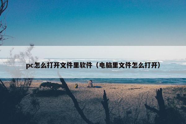 pc怎么打开文件里软件（电脑里文件怎么打开）