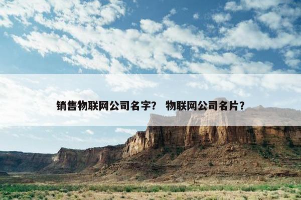 销售物联网公司名字？ 物联网公司名片？