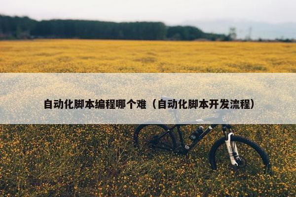自动化脚本编程哪个难（自动化脚本开发流程）