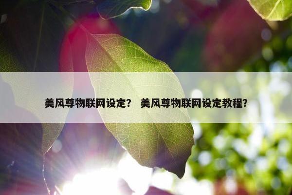 美风尊物联网设定？ 美风尊物联网设定教程？