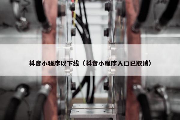抖音小程序以下线（抖音小程序入口已取消）
