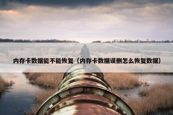 内存卡数据能不能恢复（内存卡数据误删怎么恢复数据）