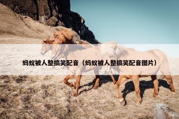 蚂蚁被人整搞笑配音（蚂蚁被人整搞笑配音图片）