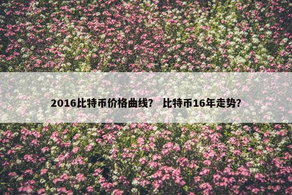 2016比特币价格曲线？ 比特币16年走势？