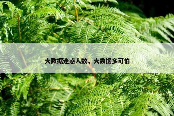 大数据迷惑人数，大数据多可怕
