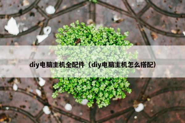 diy电脑主机全配件（diy电脑主机怎么搭配）