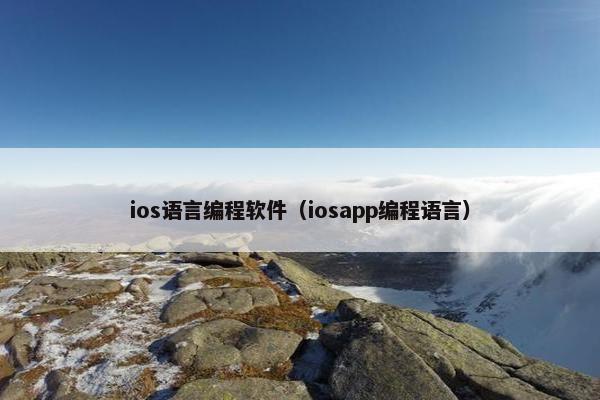 ios语言编程软件（iosapp编程语言）