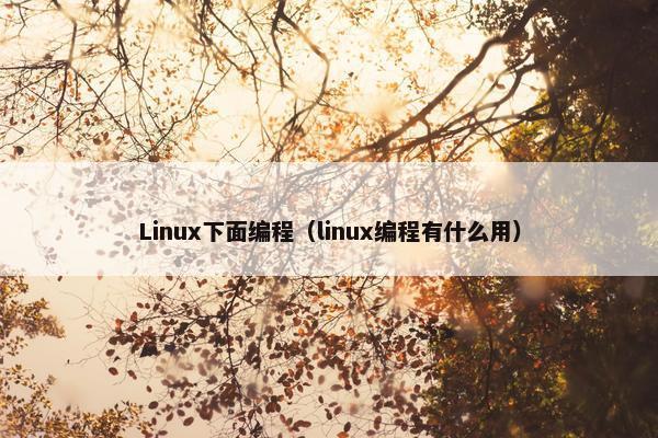 Linux下面编程（linux编程有什么用）