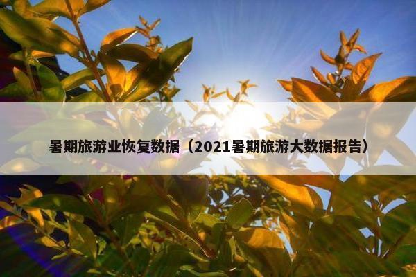 暑期旅游业恢复数据（2021暑期旅游大数据报告）