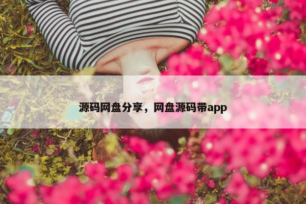源码网盘分享，网盘源码带app
