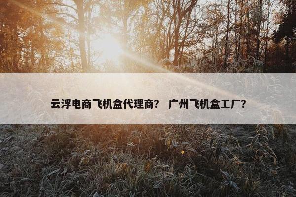 云浮电商飞机盒代理商？ 广州飞机盒工厂？