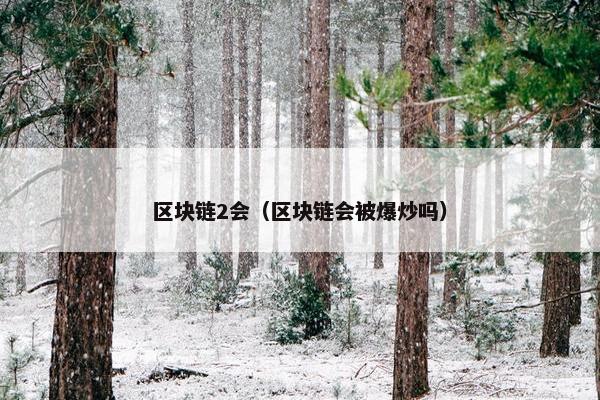 区块链2会（区块链会被爆炒吗）