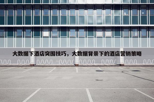 大数据下酒店突围技巧，大数据背景下的酒店营销策略