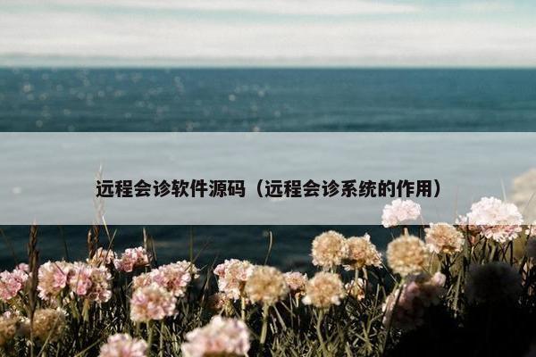 远程会诊软件源码（远程会诊系统的作用）