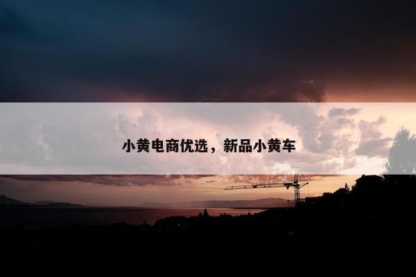 小黄电商优选，新品小黄车
