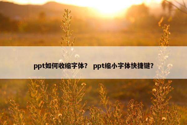 ppt如何收缩字体？ ppt缩小字体快捷键？