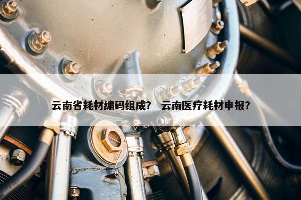 云南省耗材编码组成？ 云南医疗耗材申报？