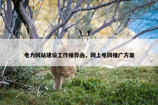 电力网站建设工作推荐函，网上电网推广方案