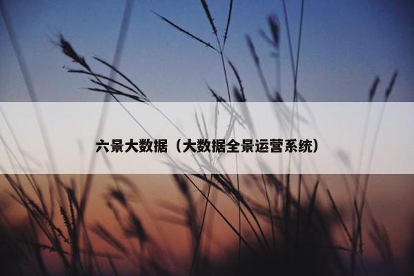 六景大数据（大数据全景运营系统）