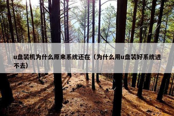 u盘装机为什么原来系统还在（为什么用u盘装好系统进不去）