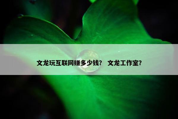 文龙玩互联网赚多少钱？ 文龙工作室？