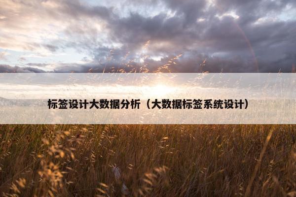 标签设计大数据分析（大数据标签系统设计）