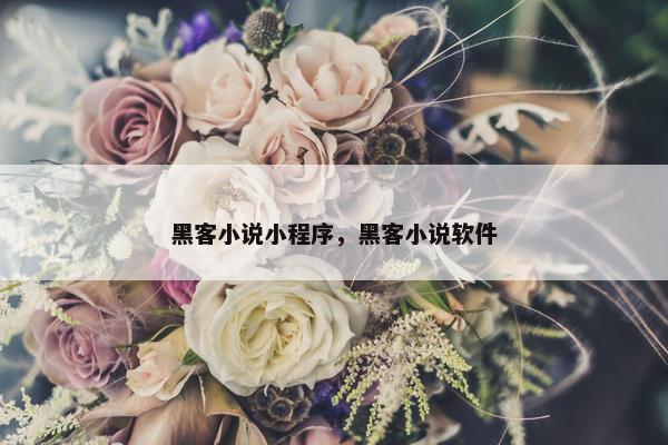 黑客小说小程序，黑客小说软件