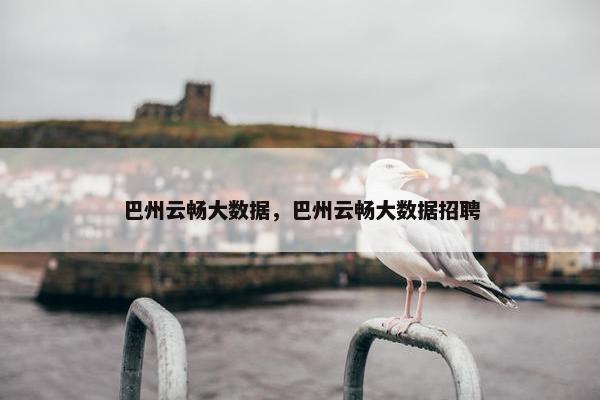 巴州云畅大数据，巴州云畅大数据招聘