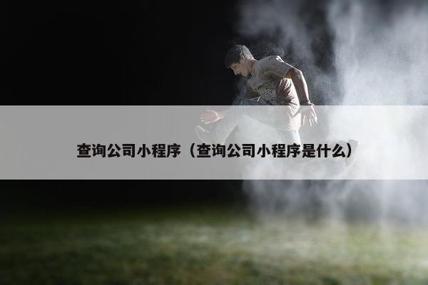 查询公司小程序（查询公司小程序是什么）