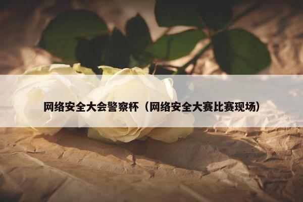 网络安全大会警察杯（网络安全大赛比赛现场）